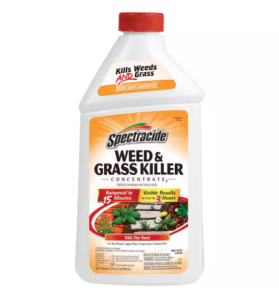 Screen Shot 2025-04-29 at 5.07.42 PM